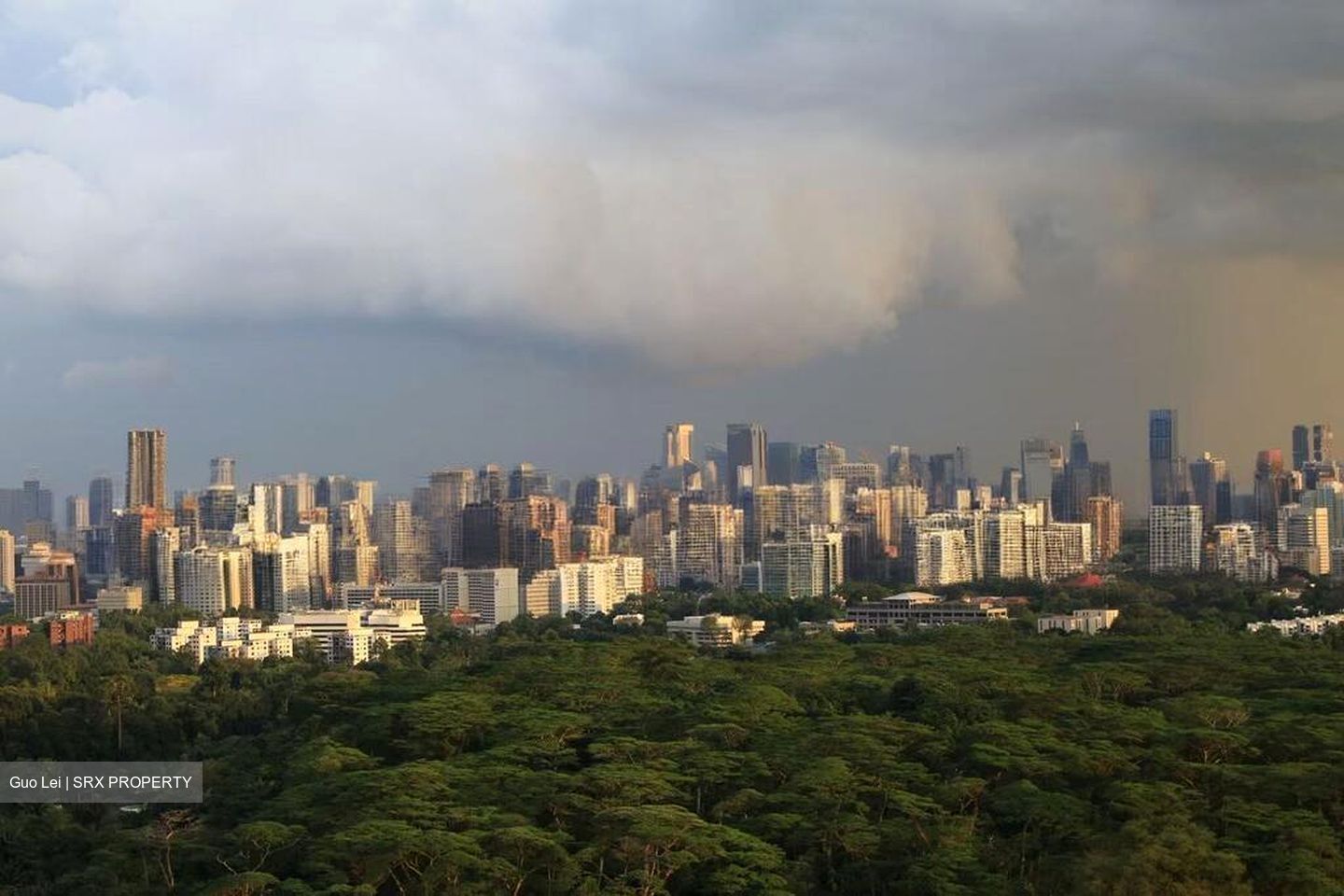 D'Leedon (D10), Condominium #504221581